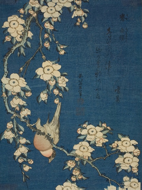 Hokusai's Blossoms on Indigo I