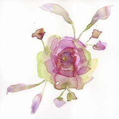 Blossoms and Roots V