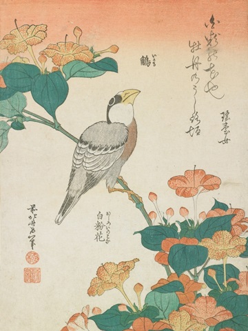 Katsushika Hokusai Flowers & Bird II