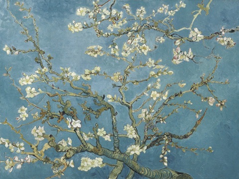 Van Gogh's Almond Blossom I
