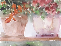 Florals From the Balcony II