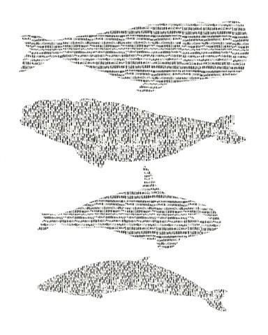 Dashed Whale Chart I