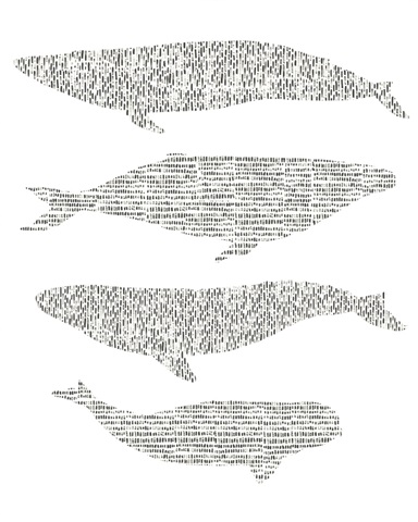 Dashed Whale Chart II