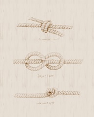 Nautical Knot Study I
