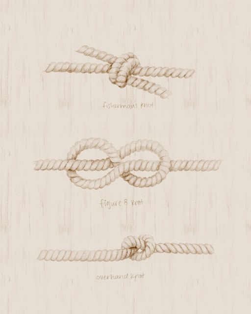 Nautical Knot Study I