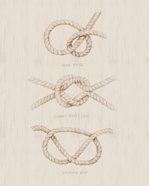 Nautical Knot Study II