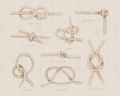 Nautical Knot Study III