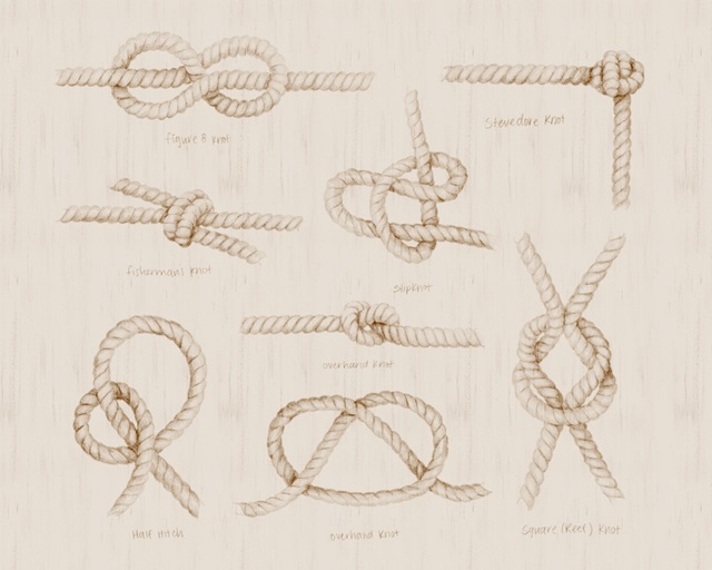 Nautical Knot Study III