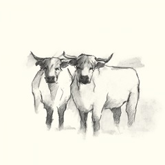 Folksie Highland Cattle II