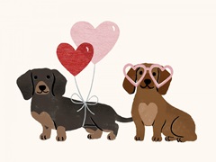 Little Legs Big Heart VII