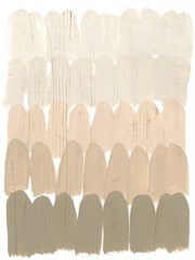 Earth Tone Swatch I