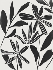 Black Flower Blooming I