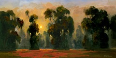 Sun Glint I