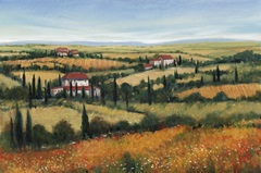 Hills of Tuscany II