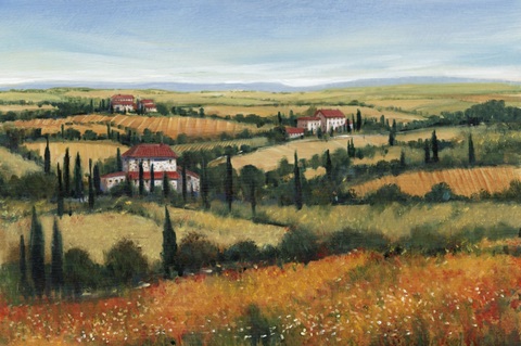 Hills of Tuscany II