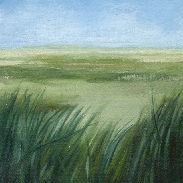 Tall Grass Plains I