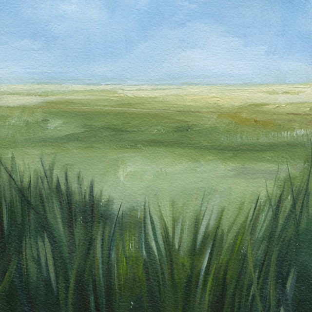 Tall Grass Plains II
