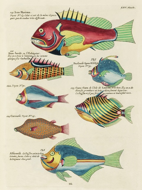 Renard Tropical Fish III