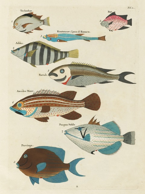 Renard Tropical Fish V