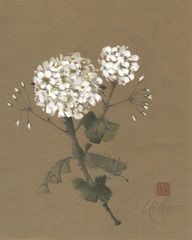 Princely Demeanor II