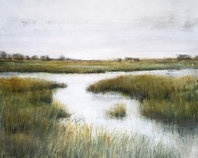 Misty Marshland  I