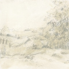 Parchment Field Study II