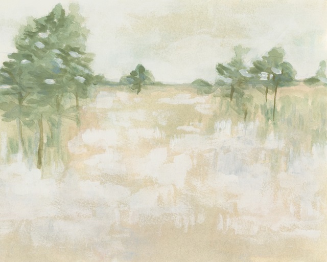 Soft Focus Field I