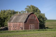 Rustic Palouse Barn I