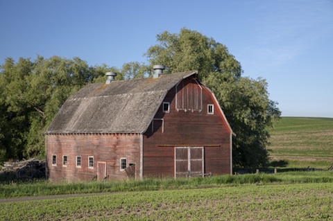 Rustic Palouse Barn I