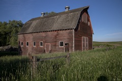 Rustic Palouse Barn II