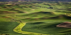 The Palouse Countryside  I