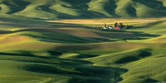 The Palouse Countryside  II