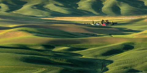 The Palouse Countryside  II