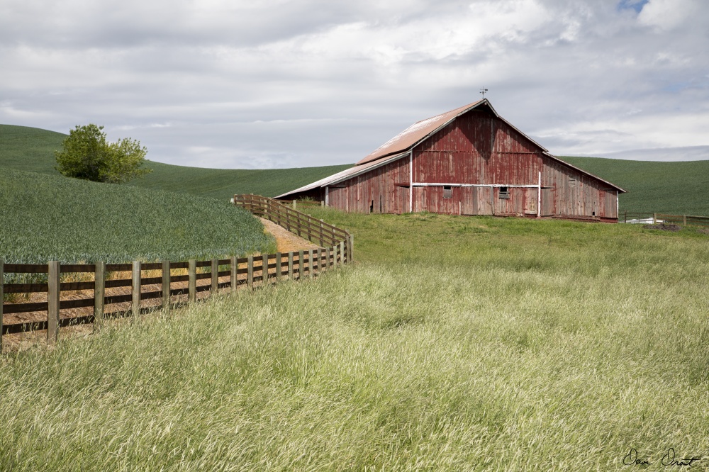 Barn by the Fence