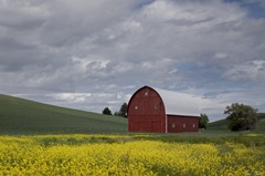 Palouse Barn and Flowers I