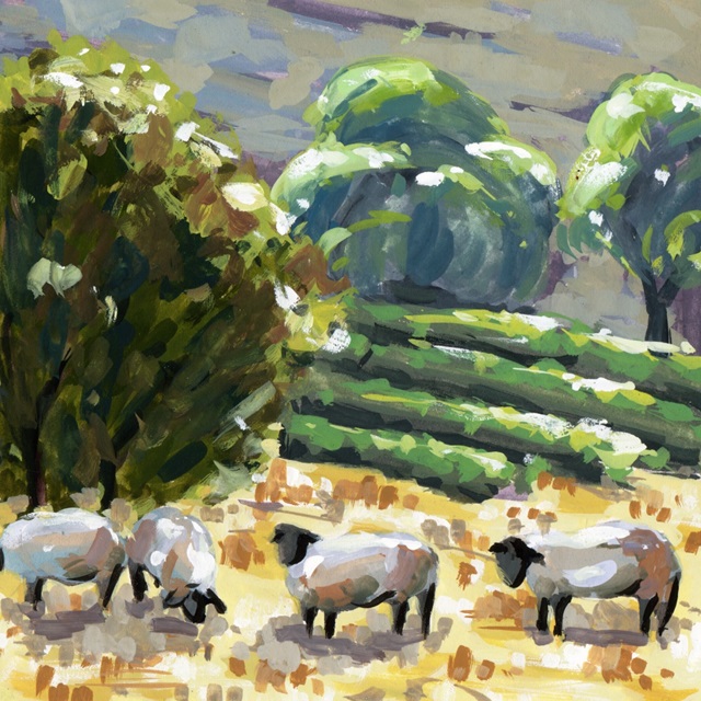 Sheep in Summer I