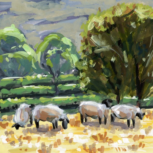 Sheep in Summer II