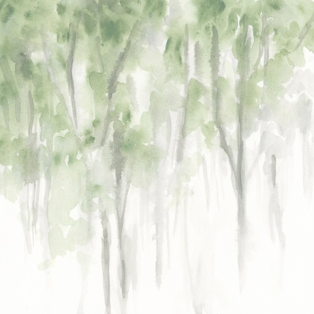 Misty Grove II