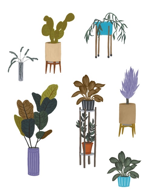 Houseplant Chart I