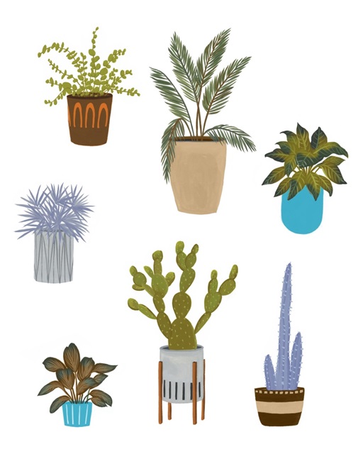 Houseplant Chart II