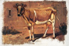 Colman Color Study of Cows II
