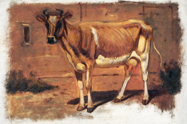 Colman Color Study of Cows II