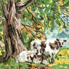 Cows Under a Tree II