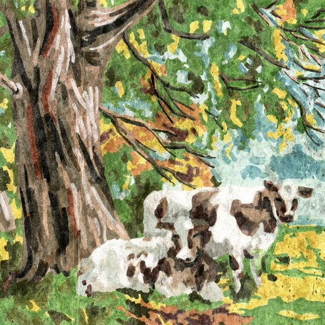 Cows Under a Tree II