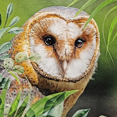 Woodland Owl Watch I