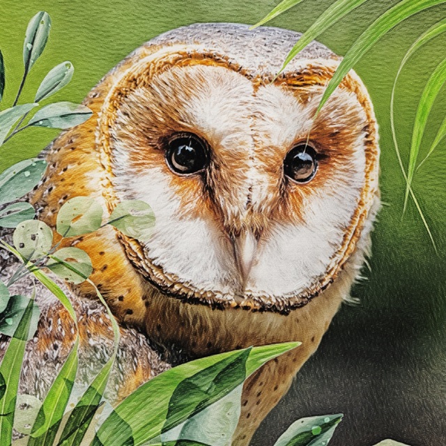 Woodland Owl Watch I