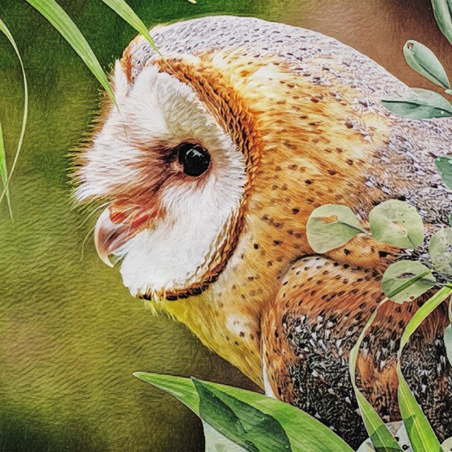Woodland Owl Watch II