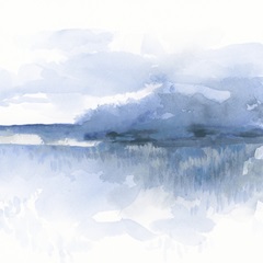 Blue Mist Marsh II