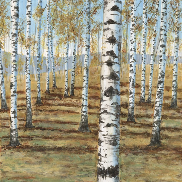 Birch Hillside I