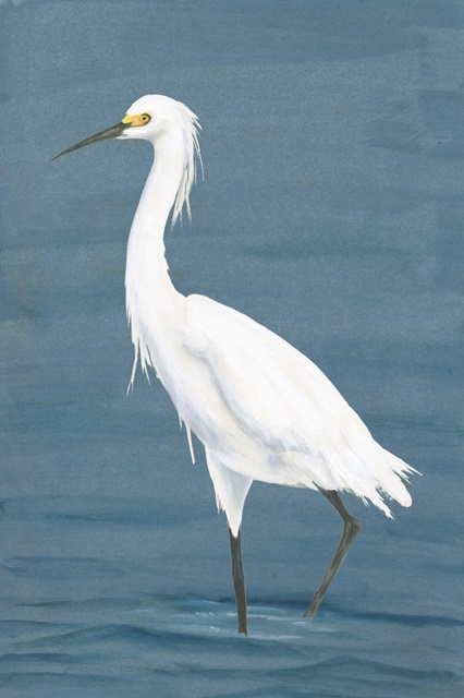 Wading Egret II